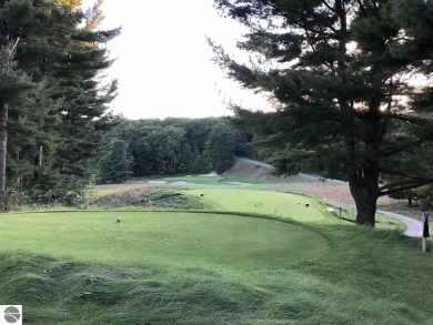 Lake Michigan - Benzie County Lot For Sale in Frankfort Michigan