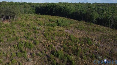 3 Parcels - 62.98 Acres Total - Yes, you can pick your - photo 16