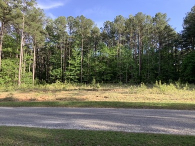 OFFWATER LOT READY TO BUILD YOUR DREAM HOME!! - Lake Lot For Sale in Pachuta, Mississippi