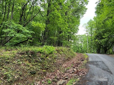 Lake Lot For Sale in Jasper, Georgia