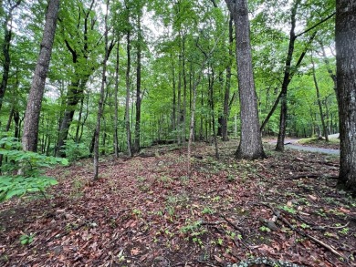 Lake Lot For Sale in Jasper, Georgia