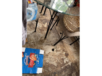 A Fixer Upper with lots of Potiential!! An ideal situation for - photo 8