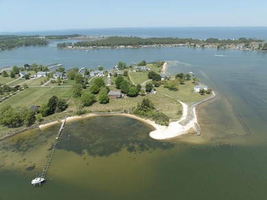 Stunning brick home built on 2 waterfront lots, in a premier - photo 9