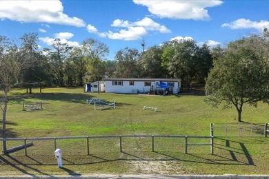 (private lake, pond, coastal) Home For Sale in Morriston Florida