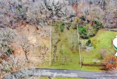 Lake Lot For Sale in Payne Springs, Texas
