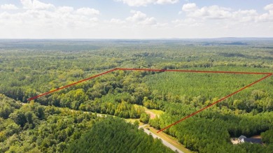 Lake Acreage For Sale in Hamilton, Georgia