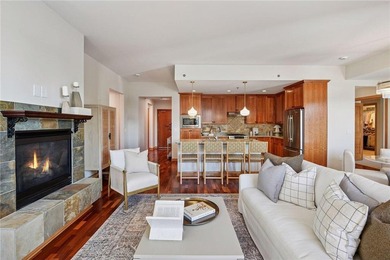 Lake Minnetonka Condo For Sale in Spring Park Minnesota