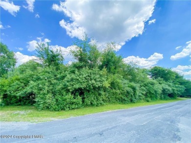 Lake Lot For Sale in Lehighton, Pennsylvania