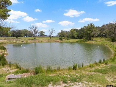(private lake, pond, creek) Lot For Sale in Mount Pleasant Texas