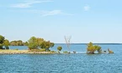 Lake Lot For Sale in Wills Point, Texas