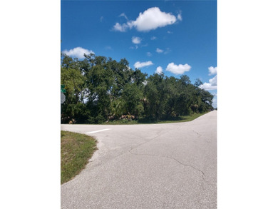 Port Charlotte Waterway Area Lot For Sale in Port Charlotte Florida