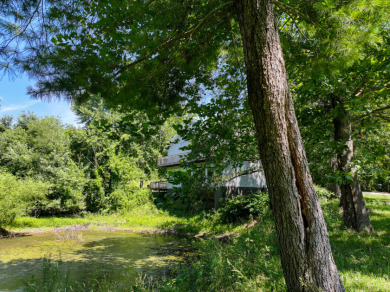 Osceola Missouri Home For Sale - photo 26
