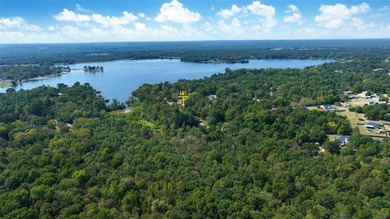 Never leave the lake again! Snatch up this opportunity to play - photo 8