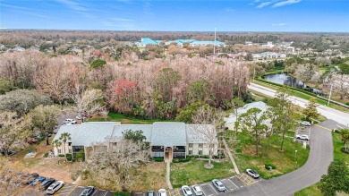 Lake Condo For Sale in Tarpon Springs, Florida