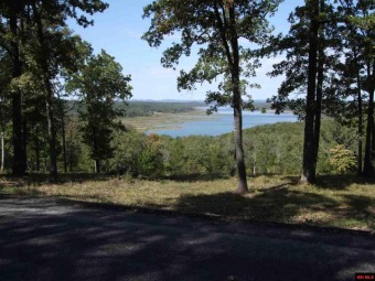 Bull Shoals Lake Lot For Sale in Lead Hill Arkansas