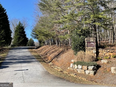 Come build your dream home in the North Georgia Mountains on - photo 2