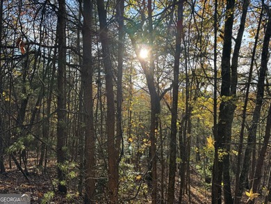 Come build your dream home in the North Georgia Mountains on - photo 4