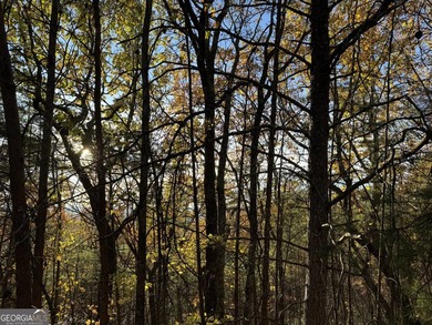 Come build your dream home in the North Georgia Mountains on - photo 7