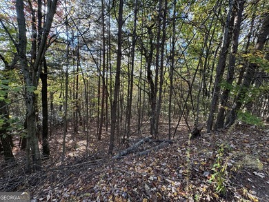 Come build your dream home in the North Georgia Mountains on - photo 10