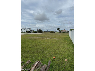 Check out this CLEARED AND CORNER DOUBLE LOT situated in a very - photo 11