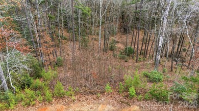 Embrace the mountain river lifestyle in the sought-after - photo 17
