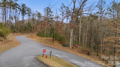 Embrace the mountain river lifestyle in the sought-after - photo 19