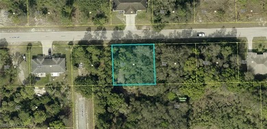 Lehigh Acres Area Lot For Sale in Lehigh Acres Florida