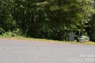 Embrace the mountain river lifestyle in the sought-after - photo 26