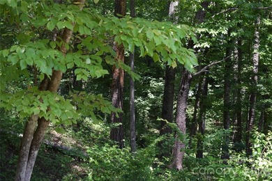 Embrace the mountain river lifestyle in the sought-after - photo 27