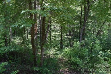 Embrace the mountain river lifestyle in the sought-after - photo 29