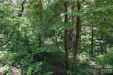 Embrace the mountain river lifestyle in the sought-after - photo 31
