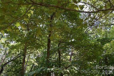 Embrace the mountain river lifestyle in the sought-after - photo 32
