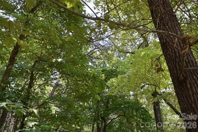 Embrace the mountain river lifestyle in the sought-after - photo 33