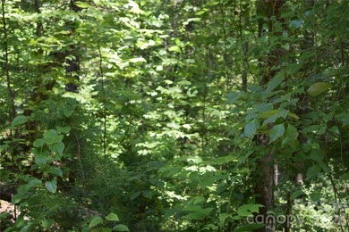 Embrace the mountain river lifestyle in the sought-after - photo 34