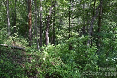 Embrace the mountain river lifestyle in the sought-after - photo 35