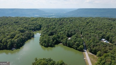 This spectacular 3,030-square-foot, 4-bedroom, 4-bathroom lake - photo 45
