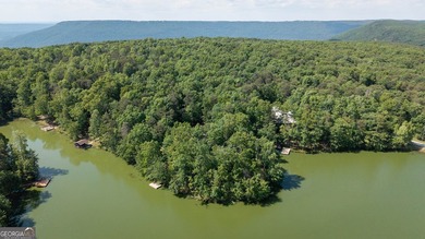 This spectacular 3,030-square-foot, 4-bedroom, 4-bathroom lake - photo 46