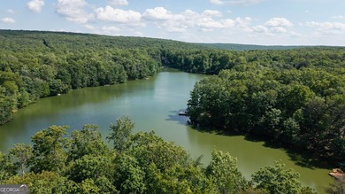 This spectacular 3,030-square-foot, 4-bedroom, 4-bathroom lake - photo 48