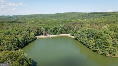 This spectacular 3,030-square-foot, 4-bedroom, 4-bathroom lake - photo 49