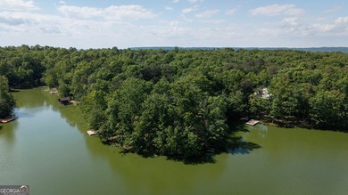 This spectacular 3,030-square-foot, 4-bedroom, 4-bathroom lake - photo 50