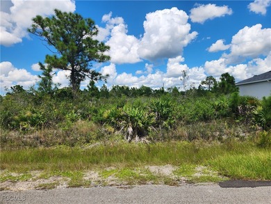 Lehigh Acres Area Lot For Sale in Lehigh Acres Florida