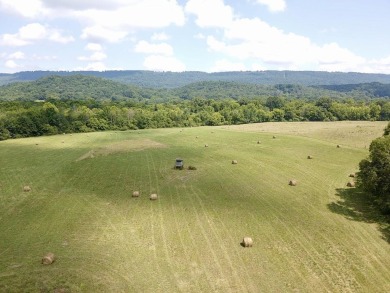 Lake Acreage For Sale in Bryant, Alabama