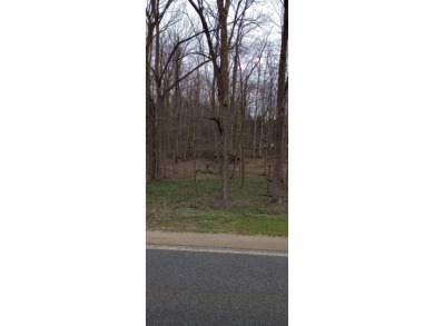 Fish Lake - Barry County Lot For Sale in Delton Michigan