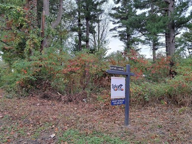 Just off 77th St, this 1.04-acre level sandy buildable lot - photo 11