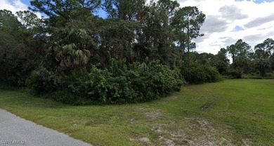 Lehigh Acres Area Lot For Sale in Lehigh Acres Florida