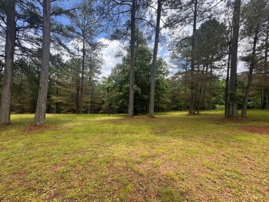 Lake Lot For Sale in Blairsville, Georgia
