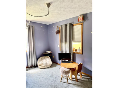 This beautiful property offers over 260 feet on the Thunder Bay - photo 26