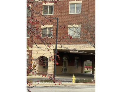 Lake Condo For Sale in Addison, Illinois