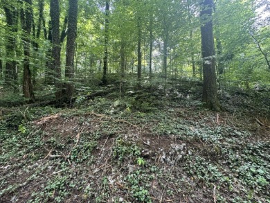 Waterfront Lot Near Nolin Dam - photo 8