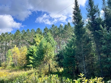 The Perfect Northwoods Retreat Awaits!Lot 3 on Black Bear - photo 2